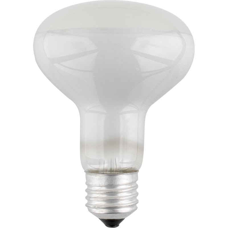 100w r80 bulb hotsell